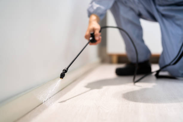 Licensed Termite Control service in Ottawa, IL - Show Me Pest Control